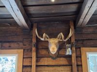 Elch- und Rentierfarm 