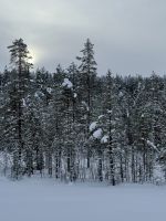 Syote National Park, Finnland
