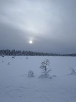 Maaselkä, Finnland