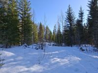 Jämsä - Himos Center (Winter-Wanderung) &ndash; &copy; Katrin Deutschbein (Eberhardt TRAVEL)