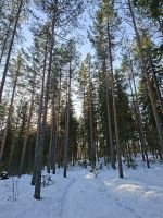 Jämsä - Himos Center (Winter-Wanderung) &ndash; &copy; Katrin Deutschbein (Eberhardt TRAVEL)