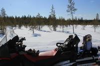 Stopp mitten im Winterwald