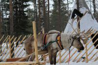 Besuch des Weihnachtsmanndorfes