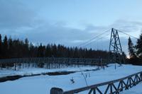 über die Brücke in den Wald hinein