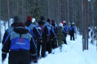 schön im Gänsemarsch