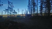 Bärenvisiting kuhmo (4)