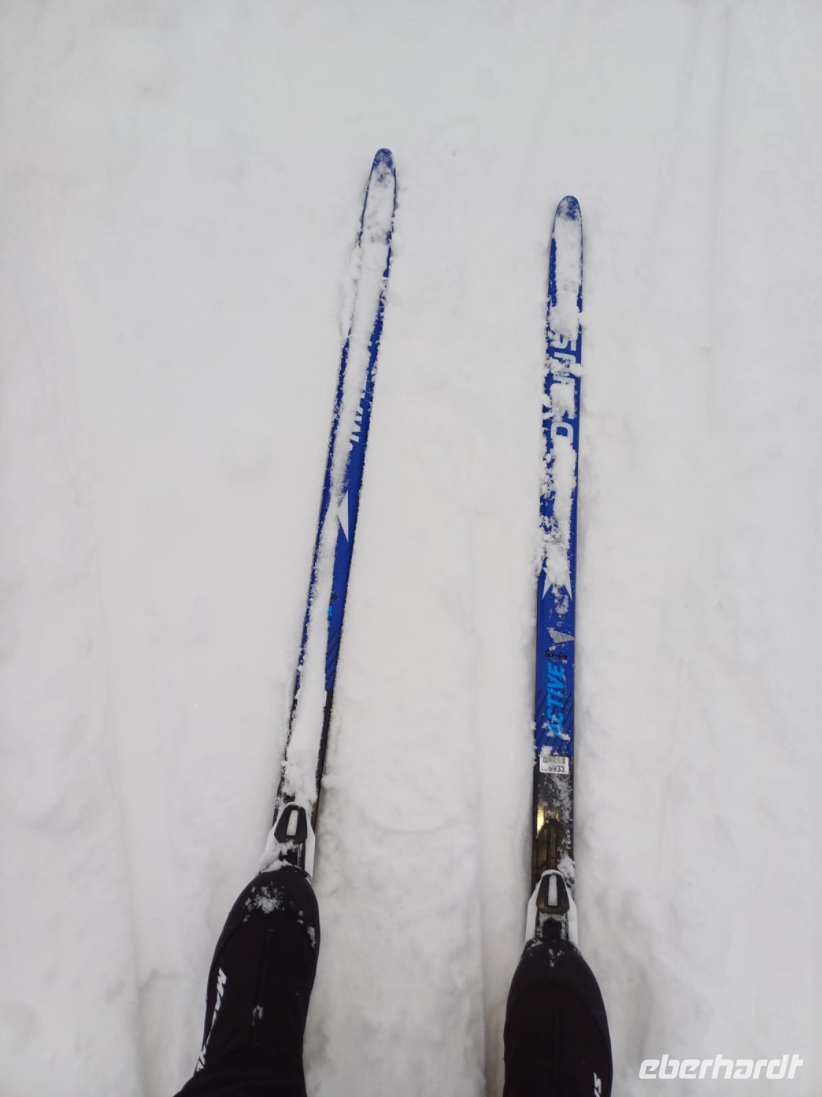Langlauf Skier