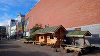 Rovaniemi (6)
