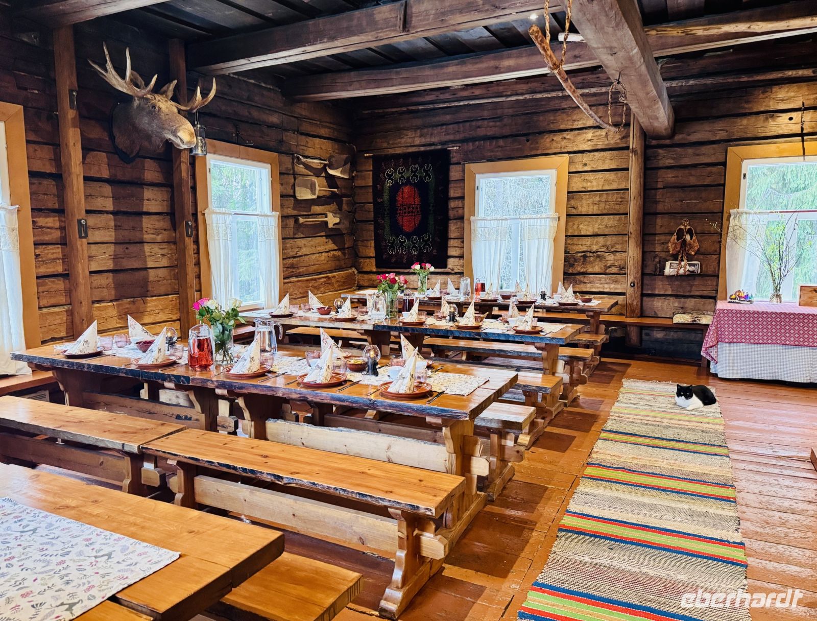 Tag 3 - Moose Manor