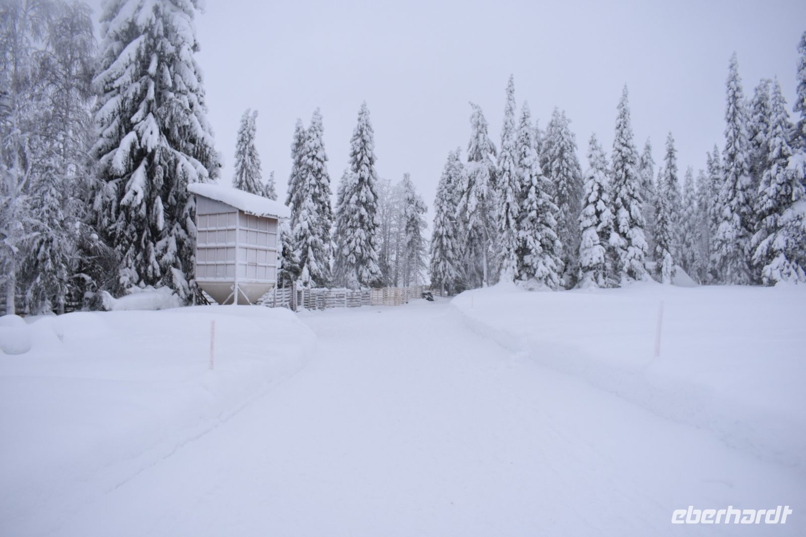 Winterlandschaft