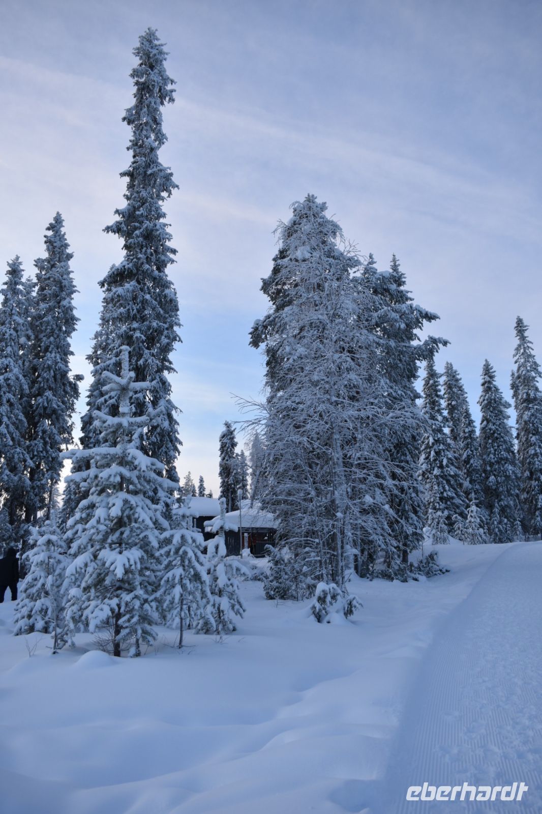Winterlandschaft