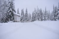 Winterlandschaft