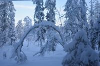 Winterlandschaft