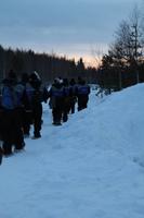 und es geht hinein in den Winterwald