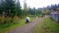 vuokatti, Huskyfarm (2)