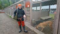 vuokatti, Huskyfarm (21)