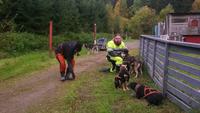 vuokatti, Huskyfarm (27)
