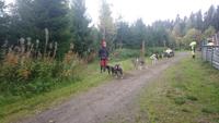 vuokatti, Huskyfarm (3)