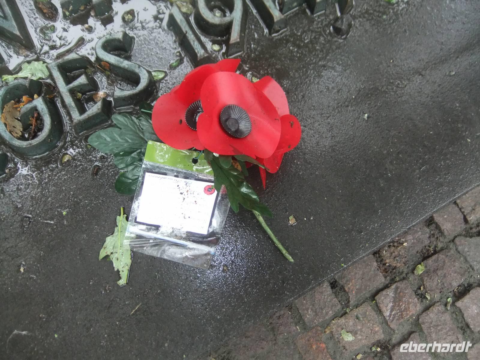 Langemark. Die legendäre Mohnblume der Engländer