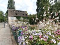 Quai Petite France Straßburg
