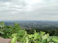 Ausblick in die Elsässische Ebene