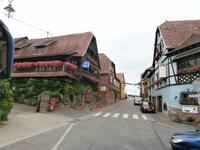 Elsässer Weinstrasse in Dambach La Ville