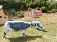 Fromagerie Graine de Lait Lapoutroie