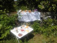 Picknick am Ring of Beara