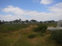 Carnac, Steinreihen