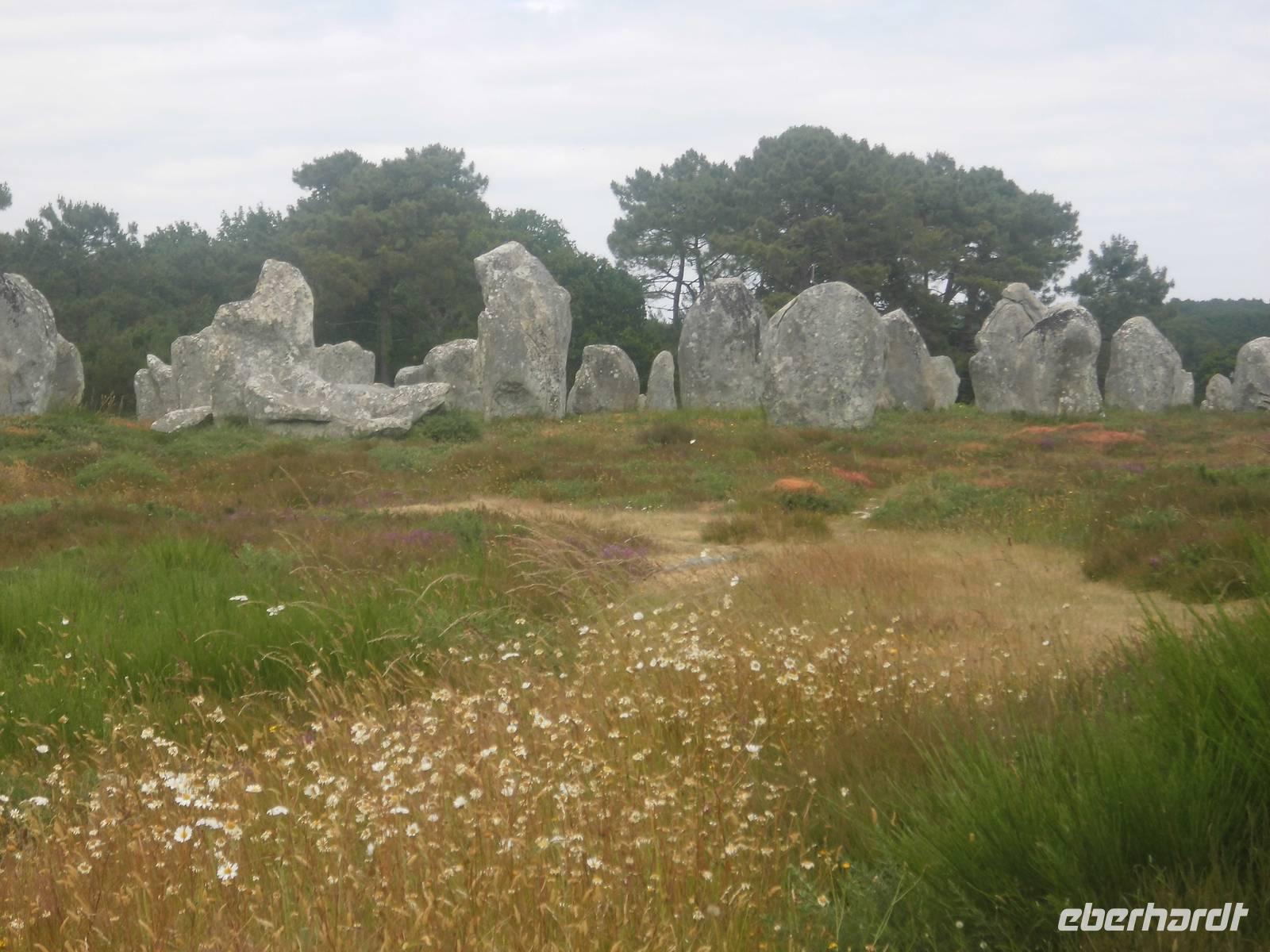 Carnac, Steinreihen