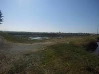 Salzgärten von Guérande