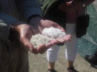 Salzgärten von Guérande