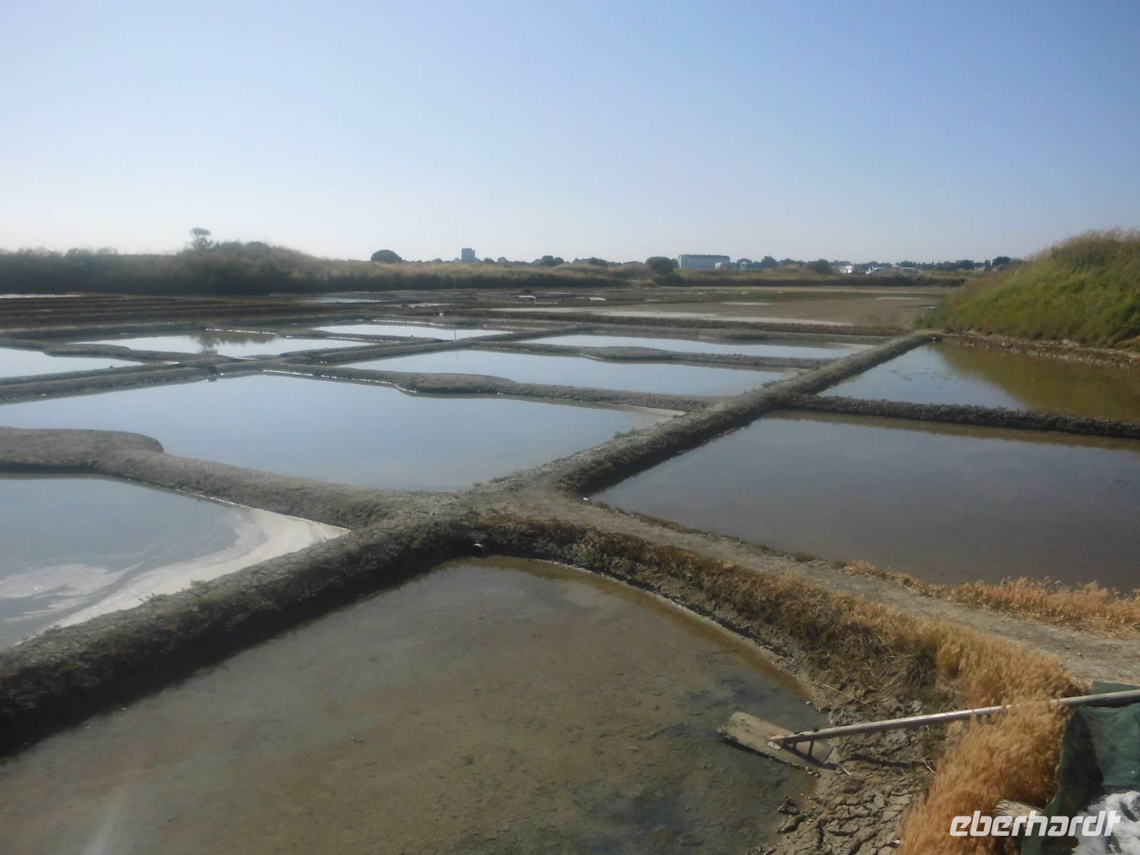 Salzgärten von Guérande