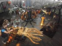 Karussell auf der Ile des Machines