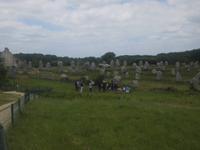 Carnac, Steinreihen