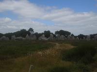 Carnac, Steinreihen