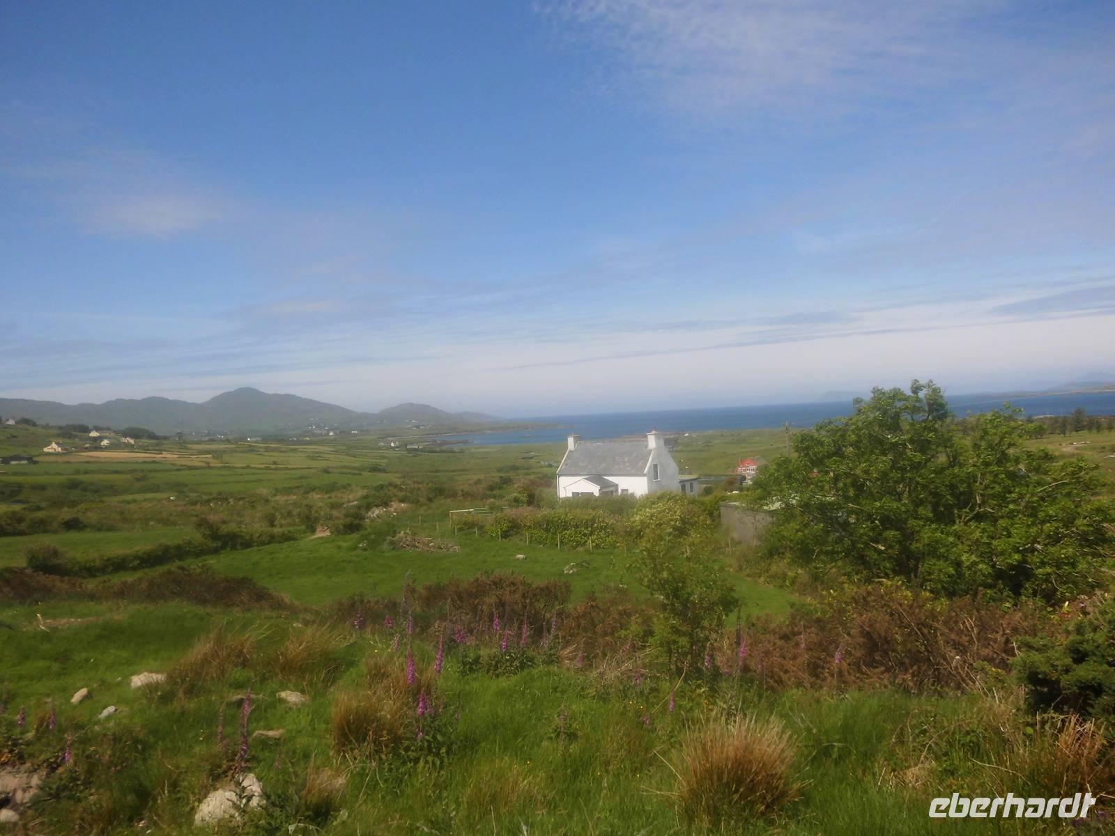 Ring of Beara