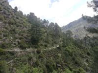 Tavignano-Schlucht Wanderweg