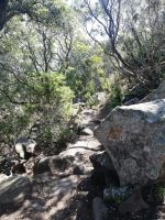 Küstenwanderung Capo di Muro