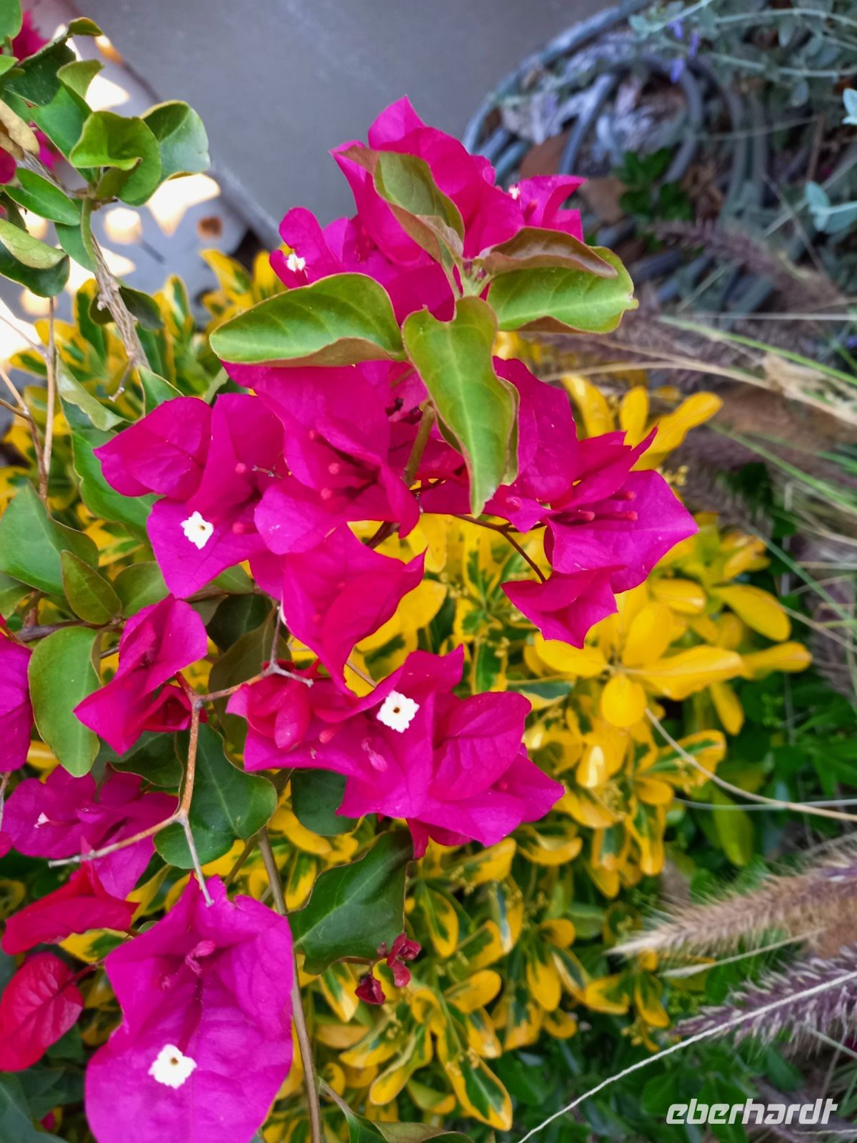 Hotelanlage La Madrague