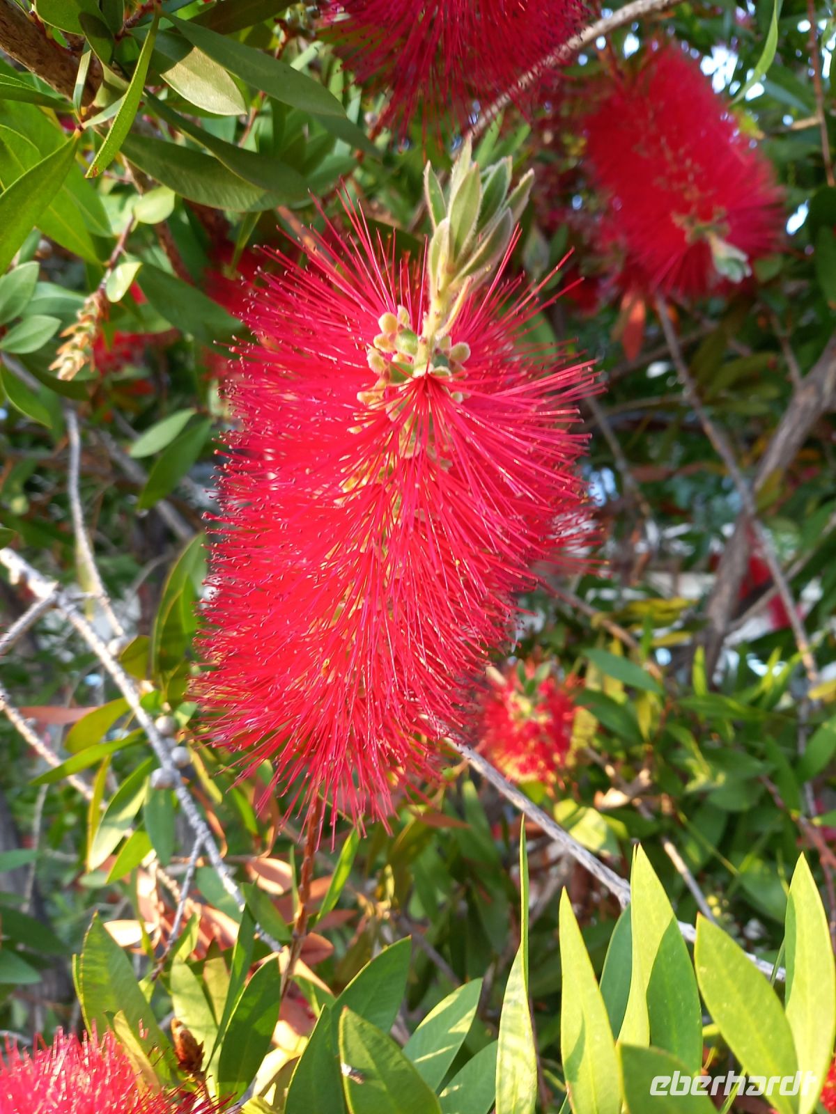 Hotelanlage La Madrague