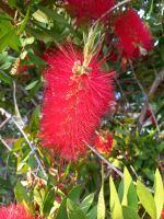 Hotelanlage La Madrague