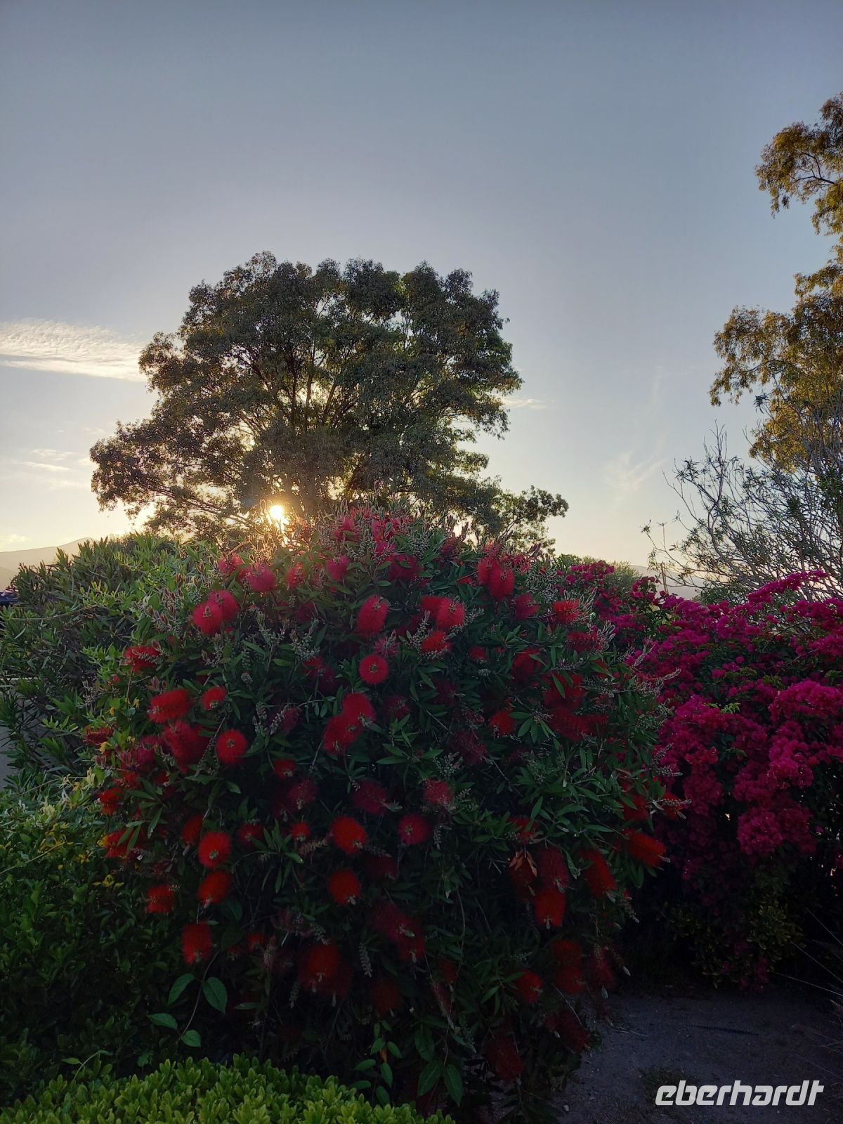Hotelanlage La Madrague