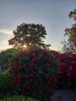 Hotelanlage La Madrague