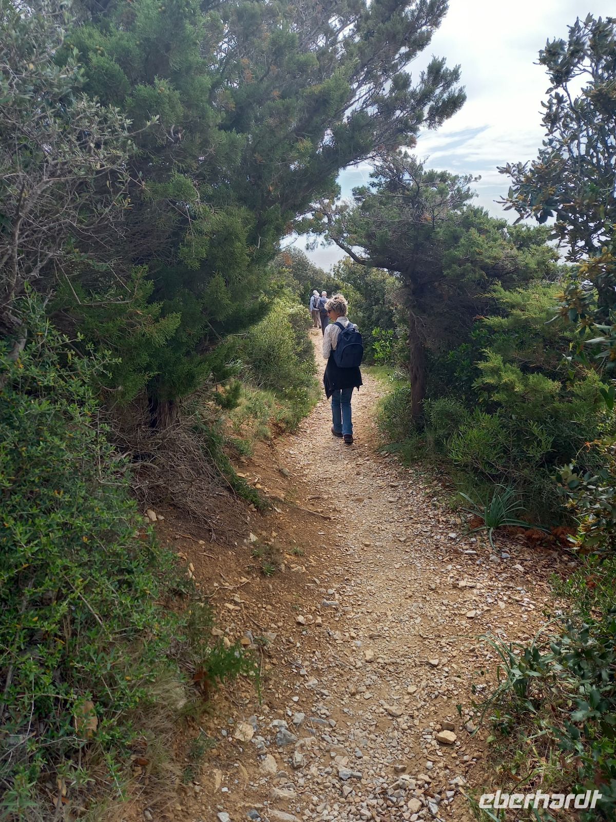 Küstenwanderung in der Maccia