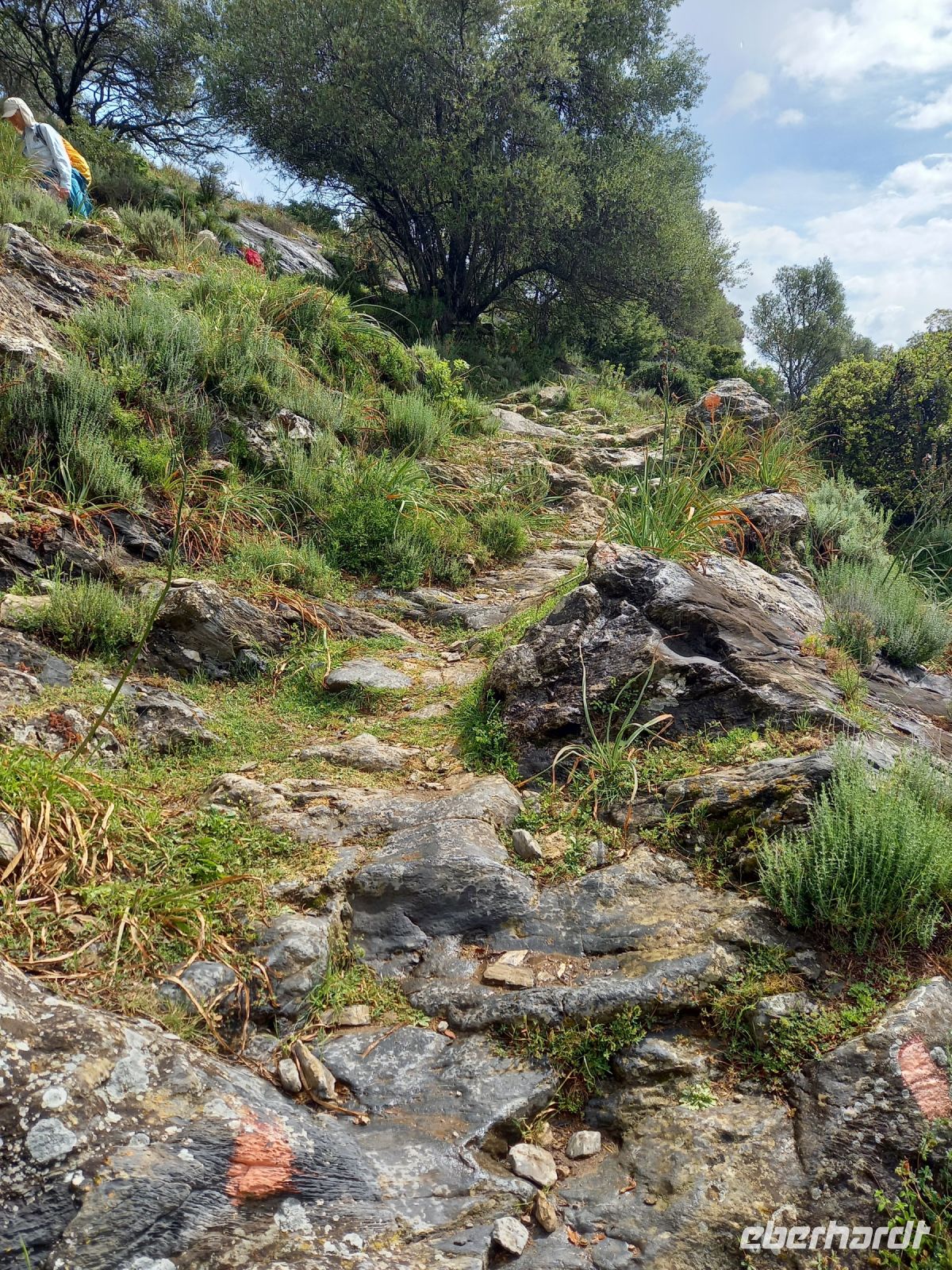 Wanderweg Tavignano-Schlucht