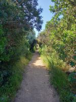 Wanderweg zum Capo di Muro