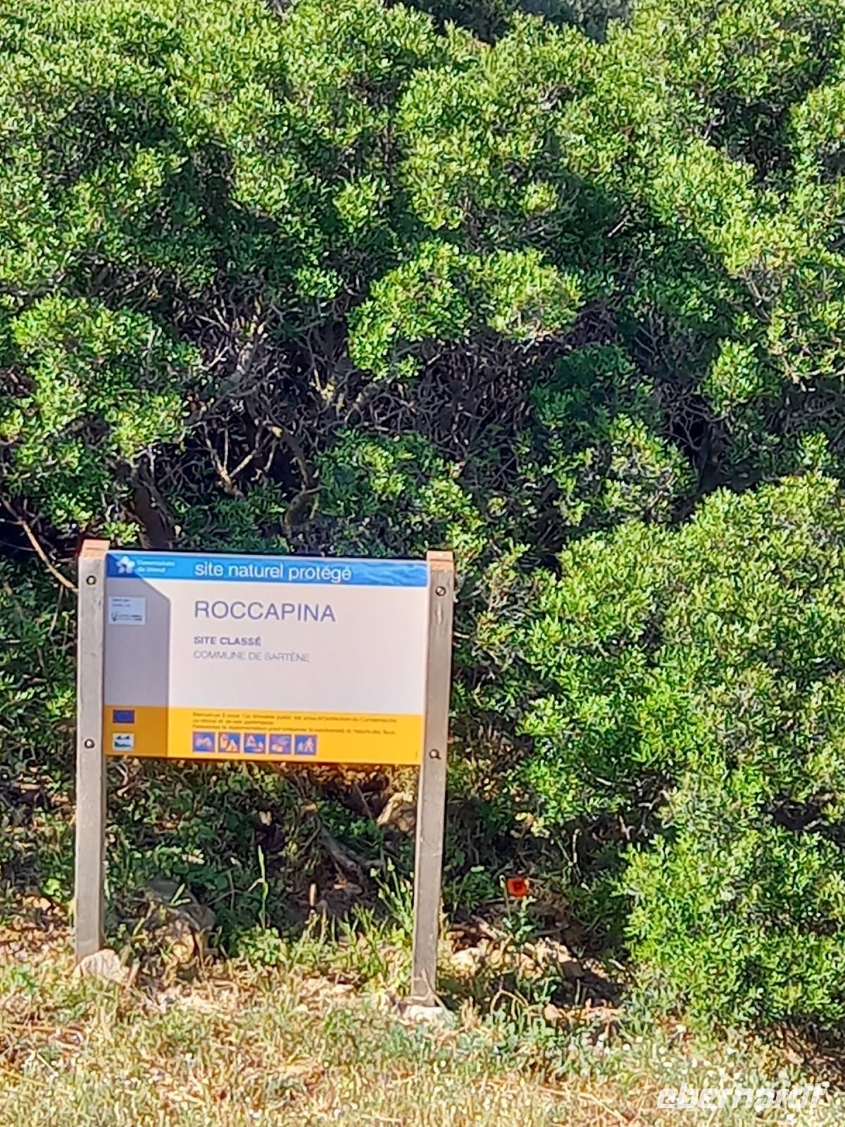 Roccapina, beschützt von einem Löwen