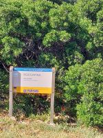 Roccapina, beschützt von einem Löwen