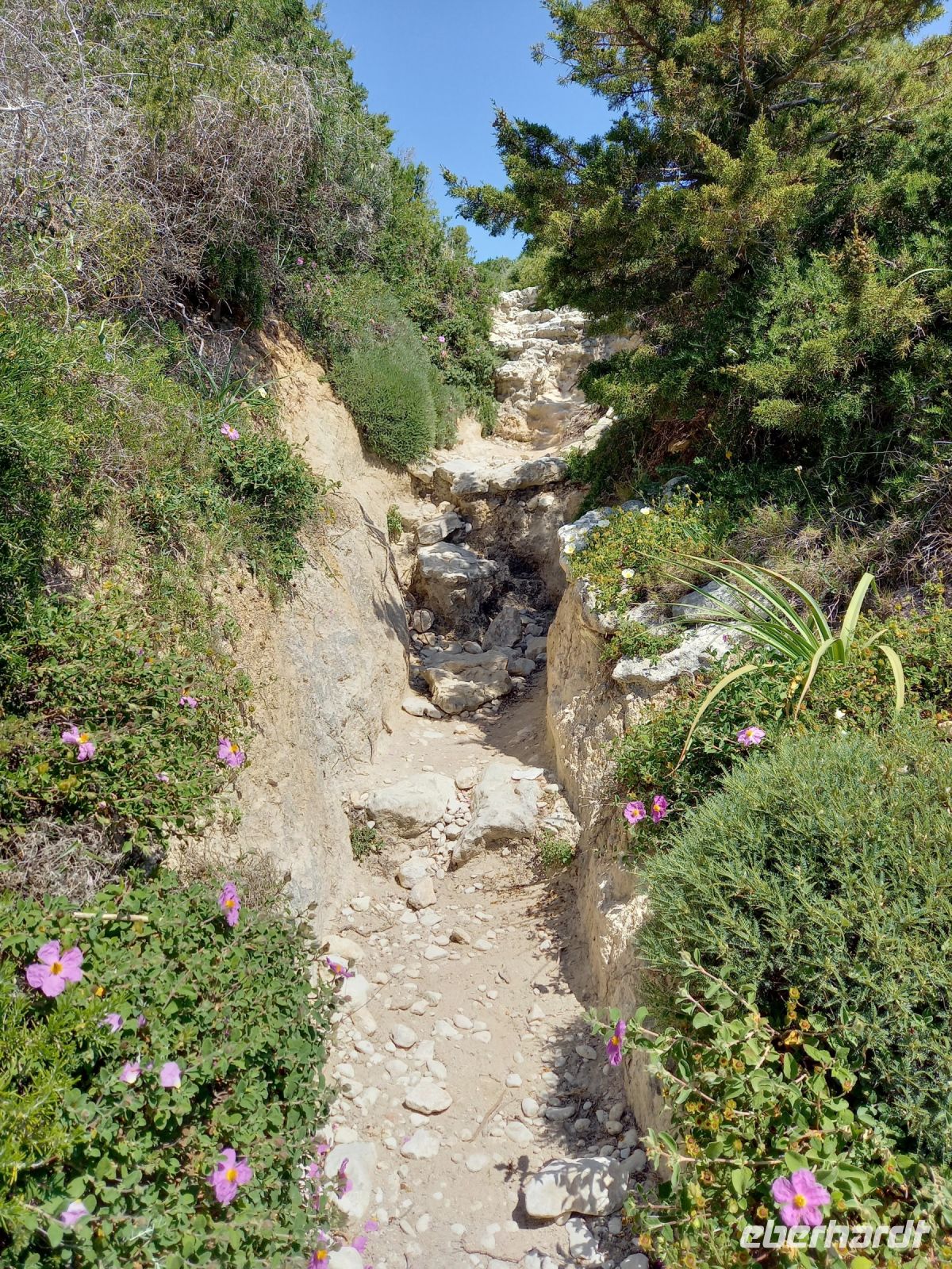 Wanderweg zum Capu Pertusato
